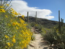 photo thumbnail #2