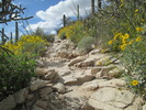 photo thumbnail #10