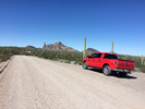 2015-02-26 :1: Puerto Blanco Loop - Organ Pipe NM :: Randal_Schulhauser