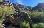 photo thumbnail #5