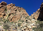 photo thumbnail #8
