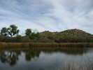 photo thumbnail #13