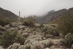 photo thumbnail #2