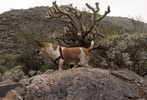 photo thumbnail #4