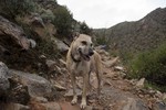 photo thumbnail #5