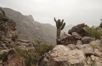 photo thumbnail #8