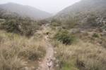 photo thumbnail #10