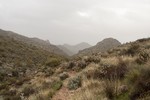photo thumbnail #11
