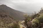 photo thumbnail #12