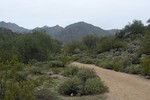 photo thumbnail #14