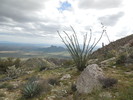 photo thumbnail #11
