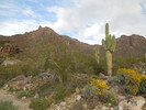 photo thumbnail #12