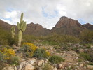photo thumbnail #13