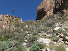 photo thumbnail #9