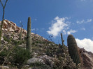 photo thumbnail #11