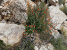 photo thumbnail #15