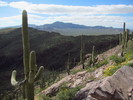 photo thumbnail #2