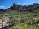 photo thumbnail #13