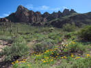 photo thumbnail #14