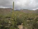photo thumbnail #10