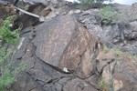 photo thumbnail #2