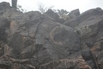 photo thumbnail #15