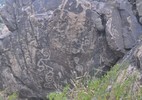 photo thumbnail #13