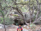 photo thumbnail #2