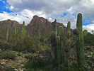 photo thumbnail #15