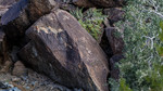 photo thumbnail #6