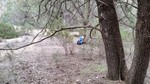 photo thumbnail #9