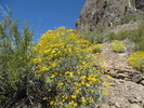 photo thumbnail #3