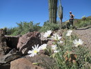 photo thumbnail #5