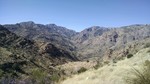 photo thumbnail #10