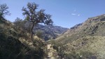 photo thumbnail #14