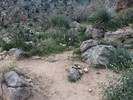 photo thumbnail #2