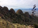 photo thumbnail #3