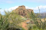 photo thumbnail #9