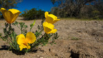 photo thumbnail #12