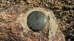 photo thumbnail #14
