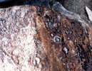 photo thumbnail #13