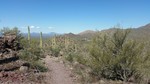 photo thumbnail #8