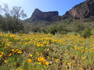 photo thumbnail #6