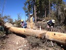 photo thumbnail #2