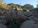 photo thumbnail #3