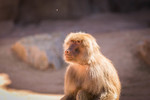 photo thumbnail #15