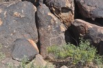 photo thumbnail #8