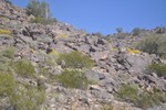 photo thumbnail #2