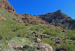 photo thumbnail #6