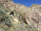 photo thumbnail #1